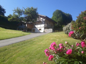 Appartement Borne Saint-Jean-D'aulps